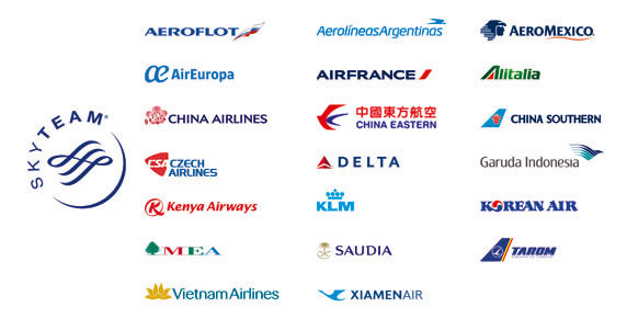 Understanding Airline Alliances And Partnerships - PointsNerd